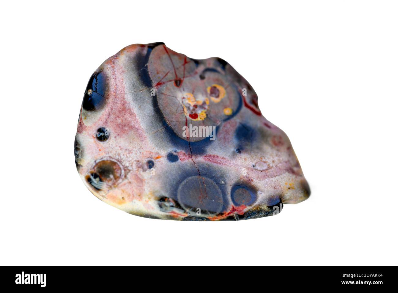 Pelle di leopardo dal Messico. Foto Stock