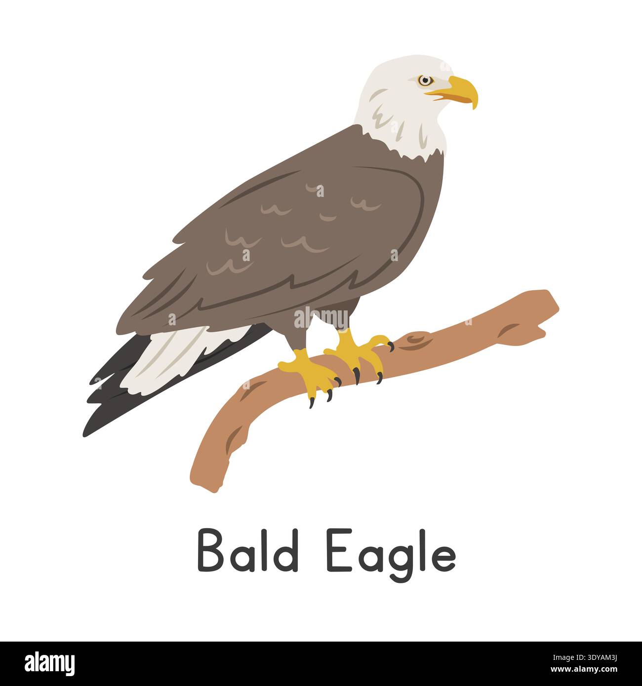 Aquila calva appollaiata sull'illustrazione vettoriale del ramo dell'albero, personaggio della clipart del cartone animato, animale in stile piatto. Animali selvatici, aviari, uccelli Illustrazione Vettoriale