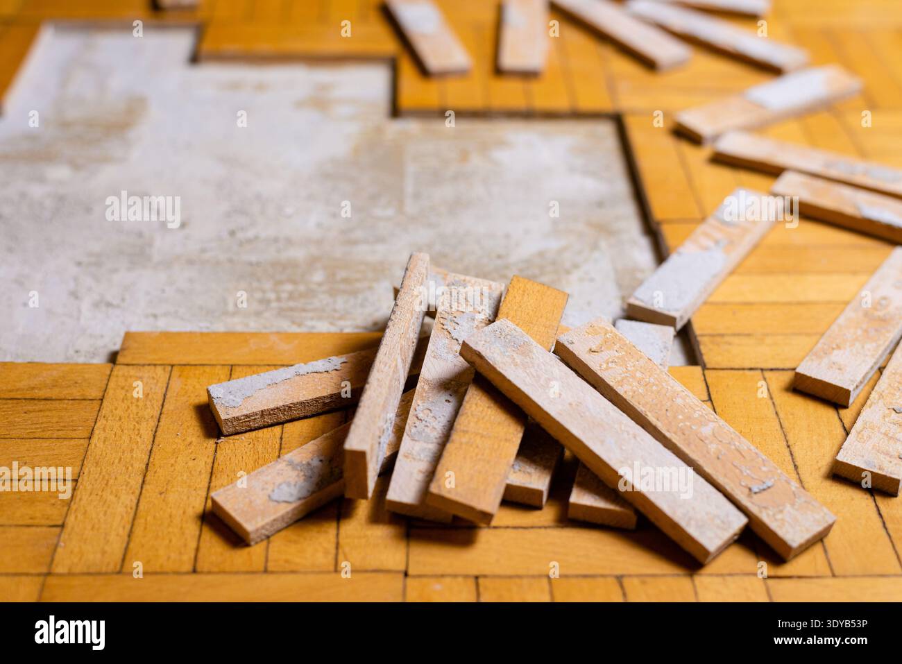 Preparazione di un'area danneggiata del pavimento in parquet di legno per la riparazione con tavole allentate sparse intorno. Foto Stock