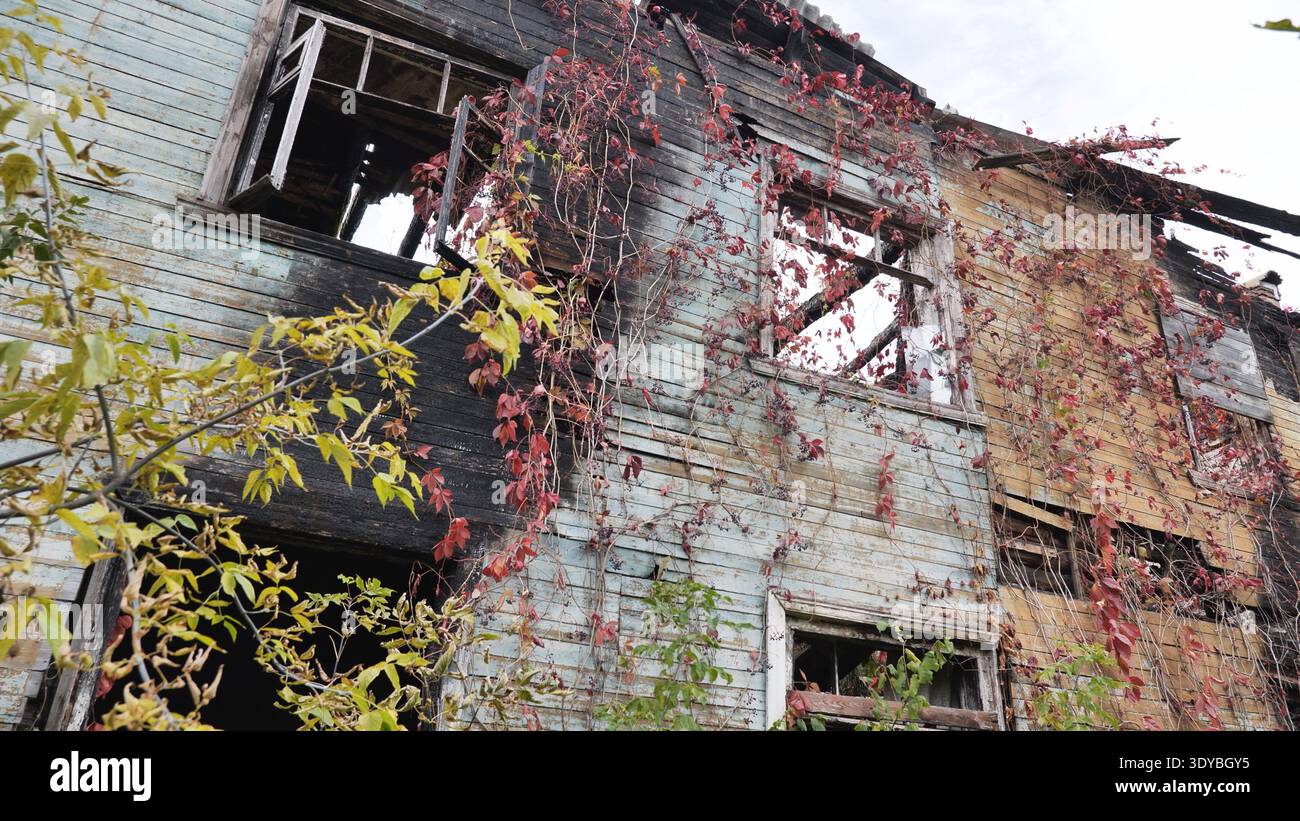 Casa di legno abbandonata dopo il fuoco, la natura che recupera le rovine carbonizzate, il decadimento autunnale Foto Stock