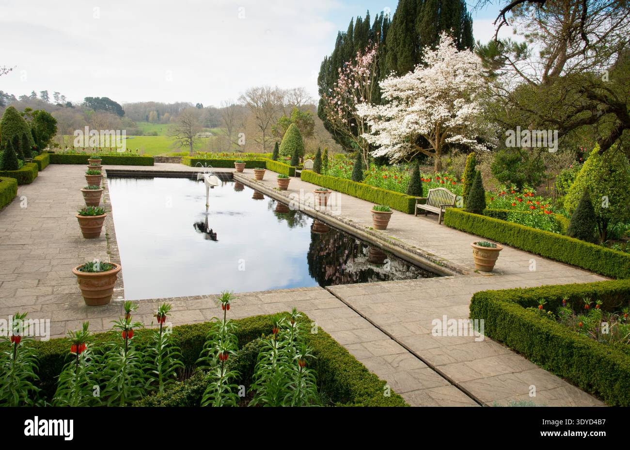 Il Giardino Italiano in primavera al Borde Hill Garden Foto Stock