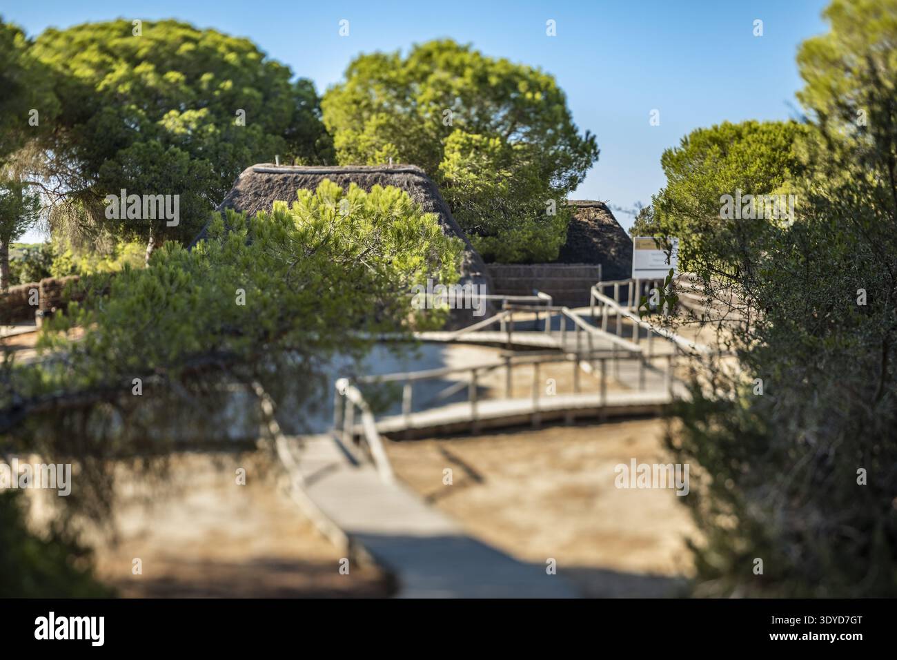 Una vista panoramica di una passerella di legno che si snoda tra arbusti verdi verso strutture rustiche con tetto di paglia all'interno del paesaggio naturale di Doñana nati Foto Stock