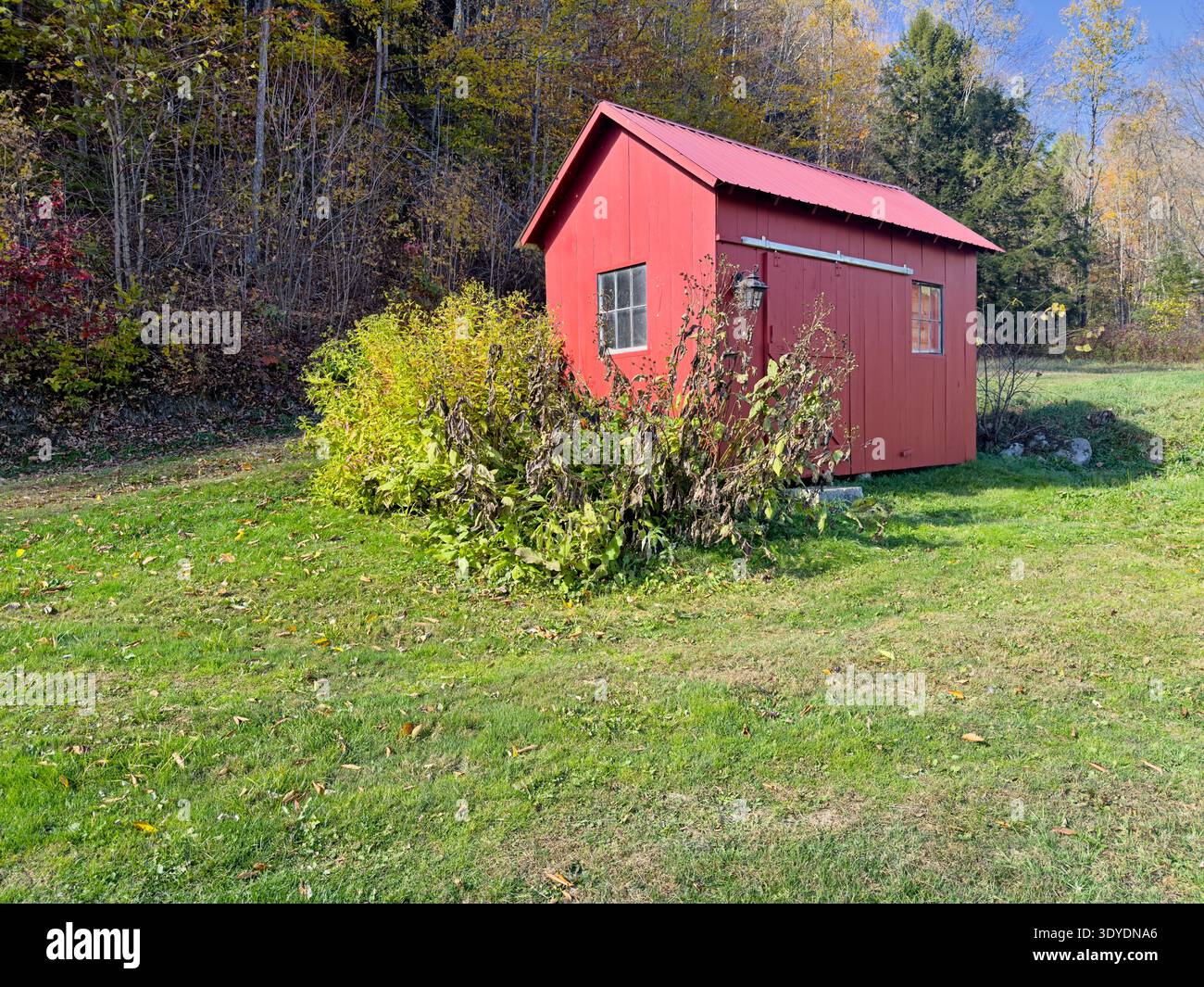 Una piccola fattoria di legno rosso sorge in un prato vicino alla città di East Topsham, Vermont. Foto Stock