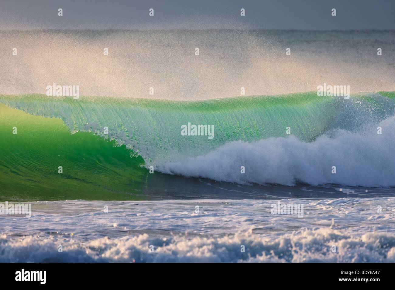 Perfetta onda da surf con la luce del sole del tramonto Foto Stock