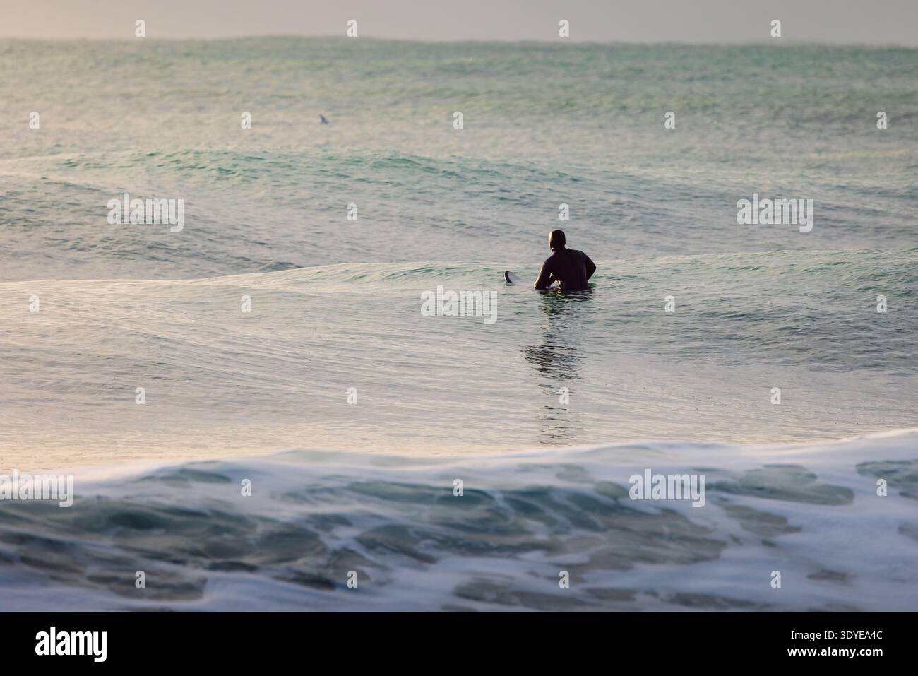 Surfista seduto sulla tavola da surf in attesa di un'onda nelle calme acque dell'oceano. Foto Stock
