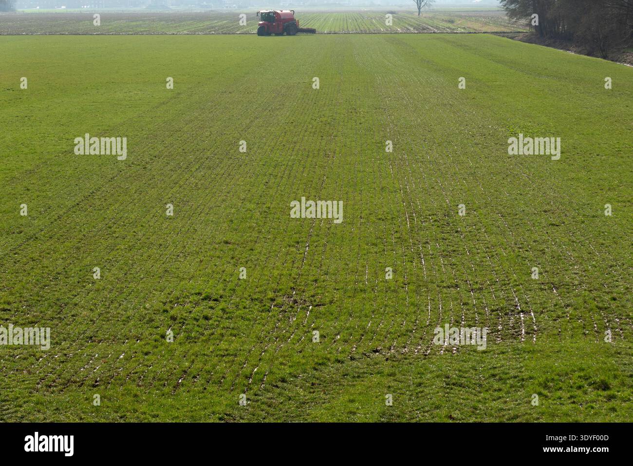 Vasta prateria, appena fertilizzata con serbatoio per liquame e spandiconcime liquido Foto Stock