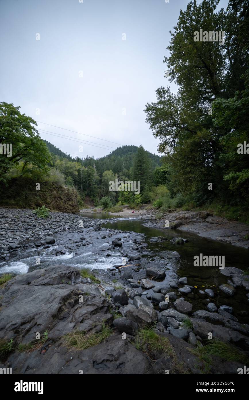 L'acqua scorre su pietre scure e bagnate. Alberi verdi incorniciano un tranquillo ruscello della foresta. Il cielo coperto aggiunge un'atmosfera morbida e soffice. I suoni della natura riproducono il suono Foto Stock