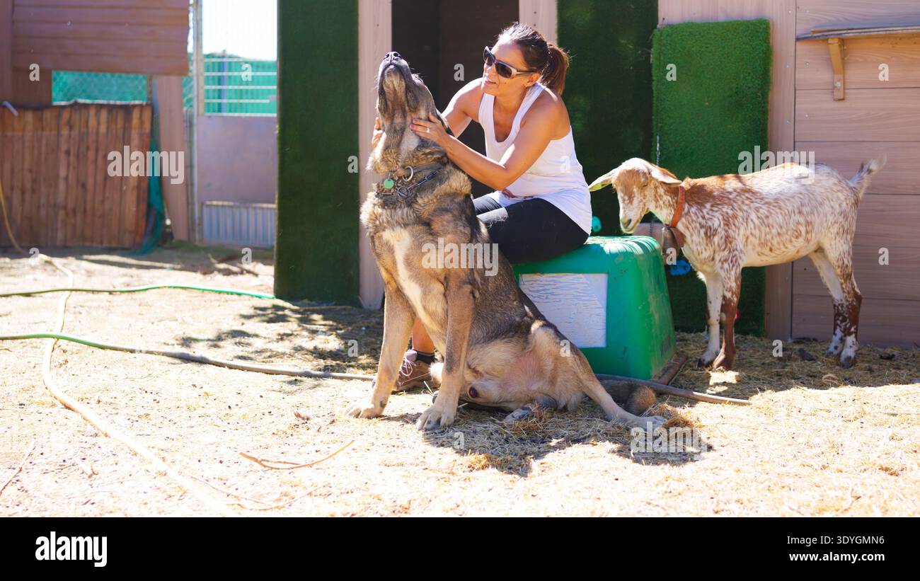 Donna che accarezza un cane grande con capra domestica nelle vicinanze all'aperto Foto Stock