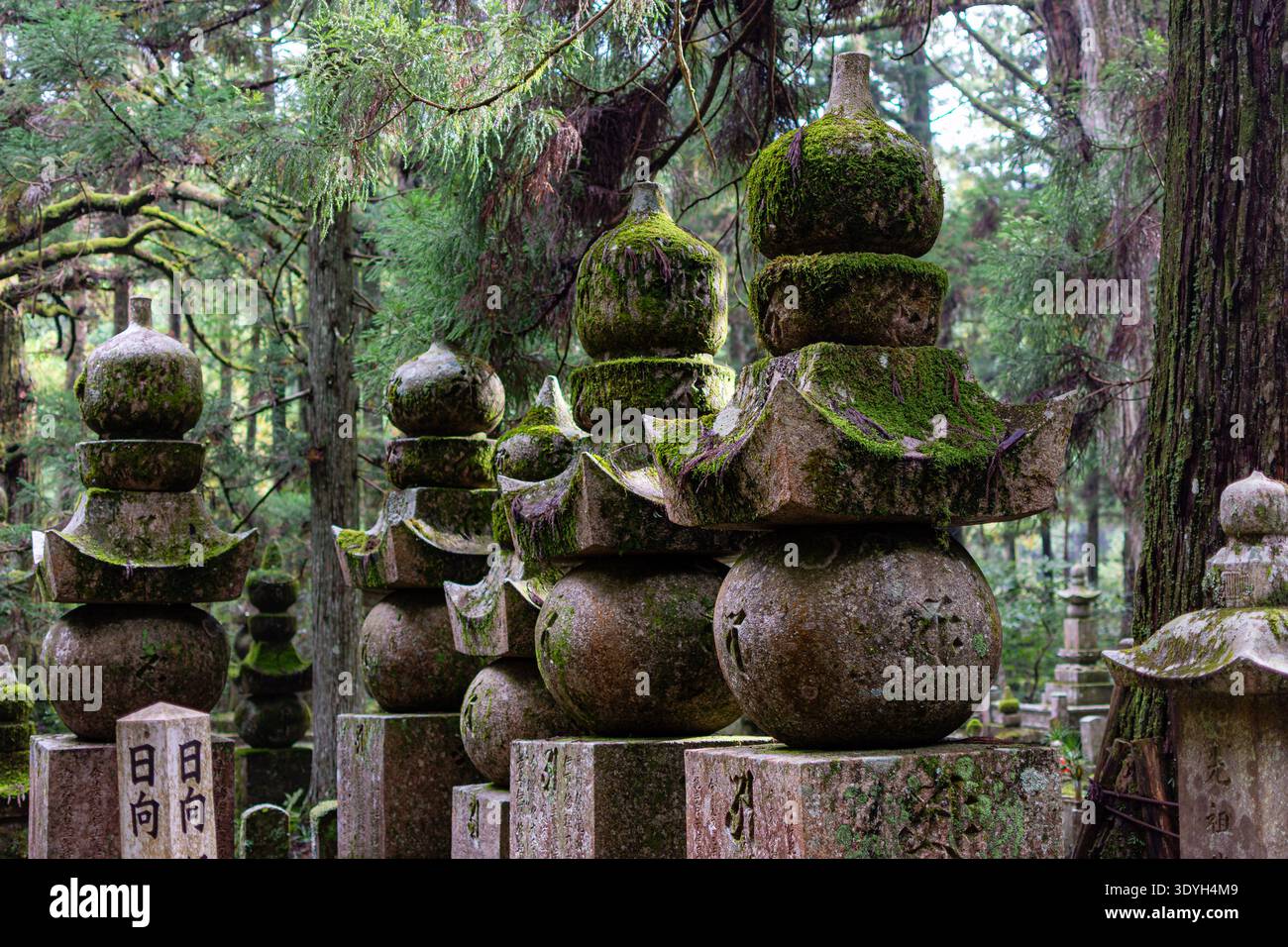 Antichi monumenti funebri in pietra al cimitero Okunoin di Koyasan, Giappone, coperti di muschio spesso, che riflettono secoli di storia e il sereno e sacro a Foto Stock
