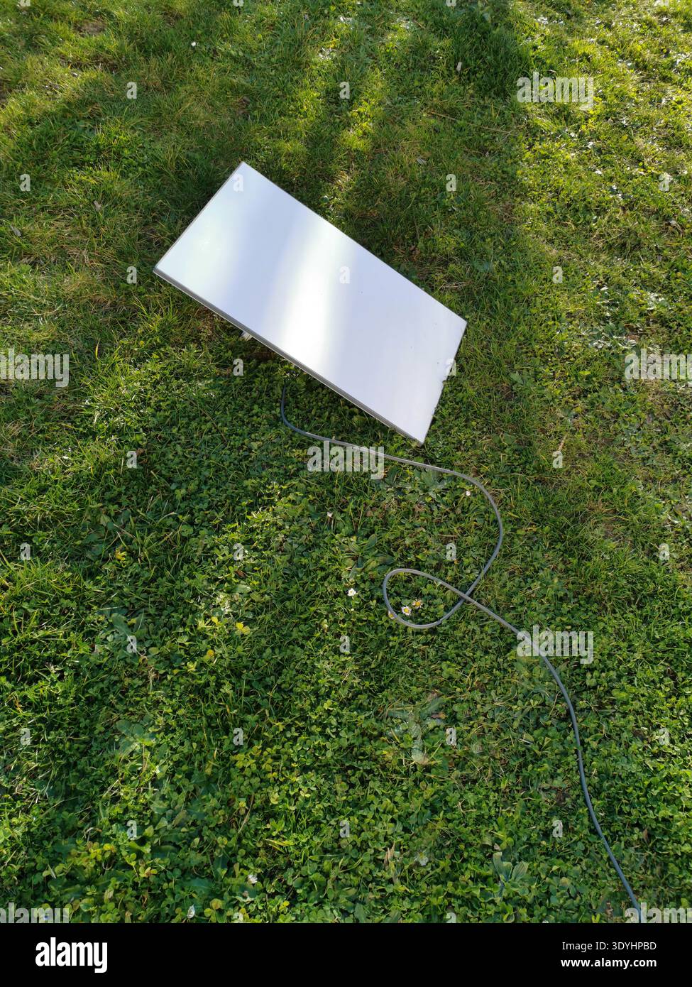 Una parabola bianca Starlink giace su una lussureggiante erba verde con piccoli fiori bianchi in un giardino luminoso. Il suo cavo scuro attraversa il terreno, connettiti Foto Stock