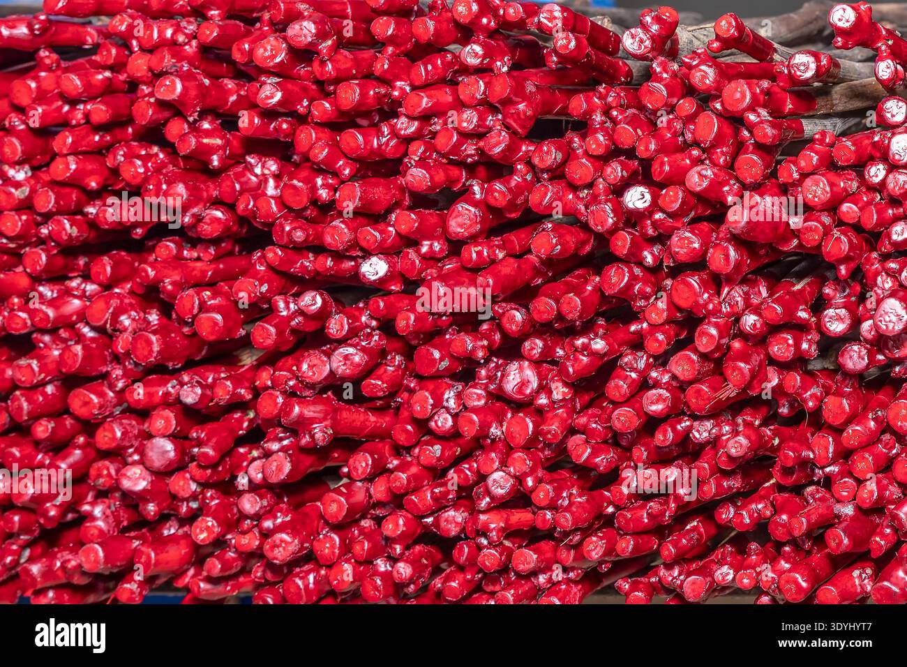 Gli innesti di vigneti ricoperti di paraffina rossa creano uno splendido motivo colorato Foto Stock