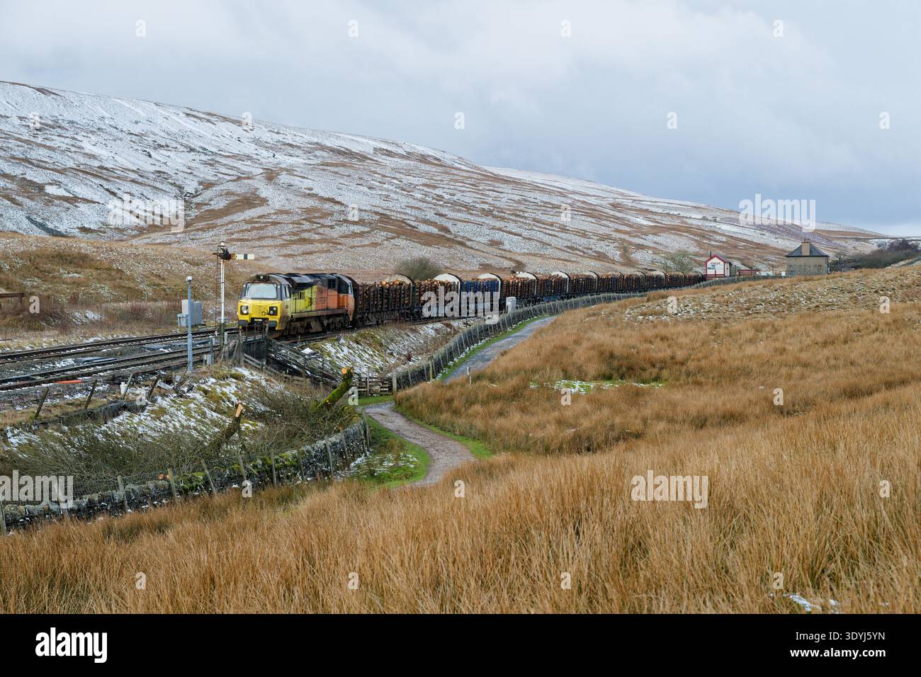 Un treno merci che trasporta tronchi passa lungo Blea Moor sulla linea ferroviaria Settle to Carlisle. Il treno sta aspettando ad un segnale a semaforo. Foto Stock