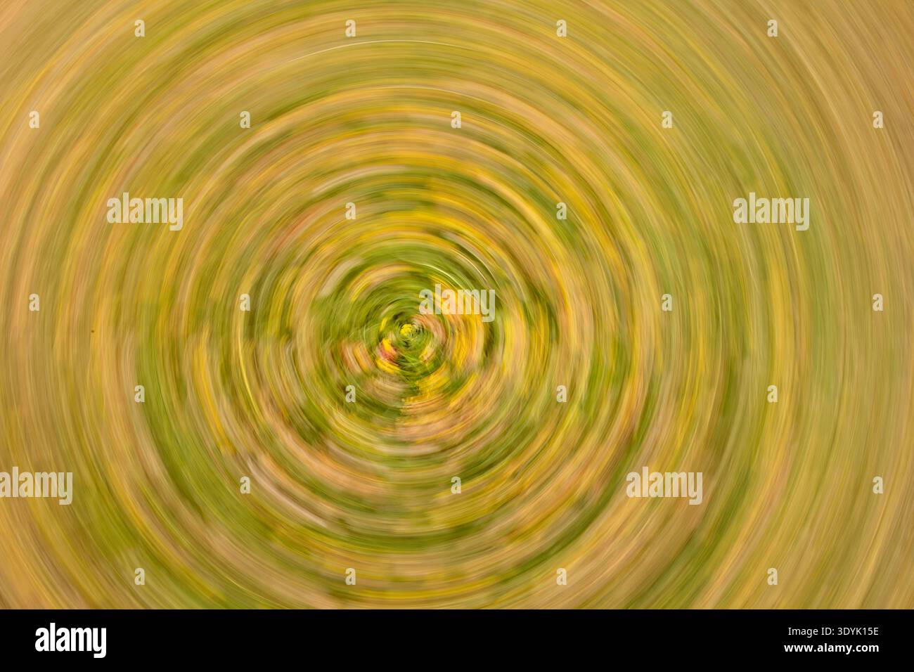 Astratto creato utilizzando tecniche di movimento intenzionale della fotocamera (ICM), in particolare un effetto di disegno del movimento circolare. Foto Stock