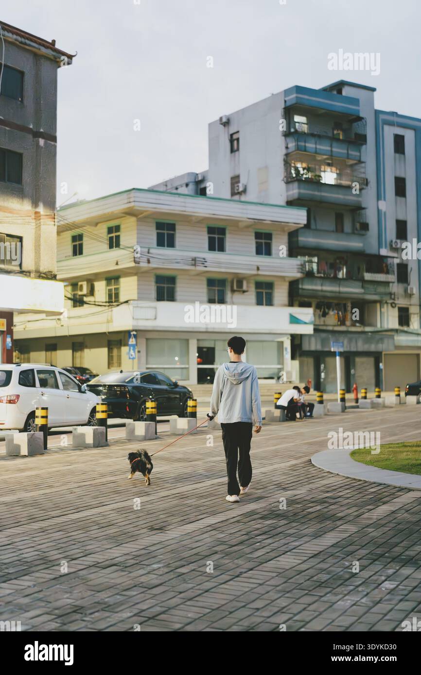 Uomo che cammina su un marciapiede in mattoni di un piccolo cane nero in una città cinese con edifici a più piani Foto Stock