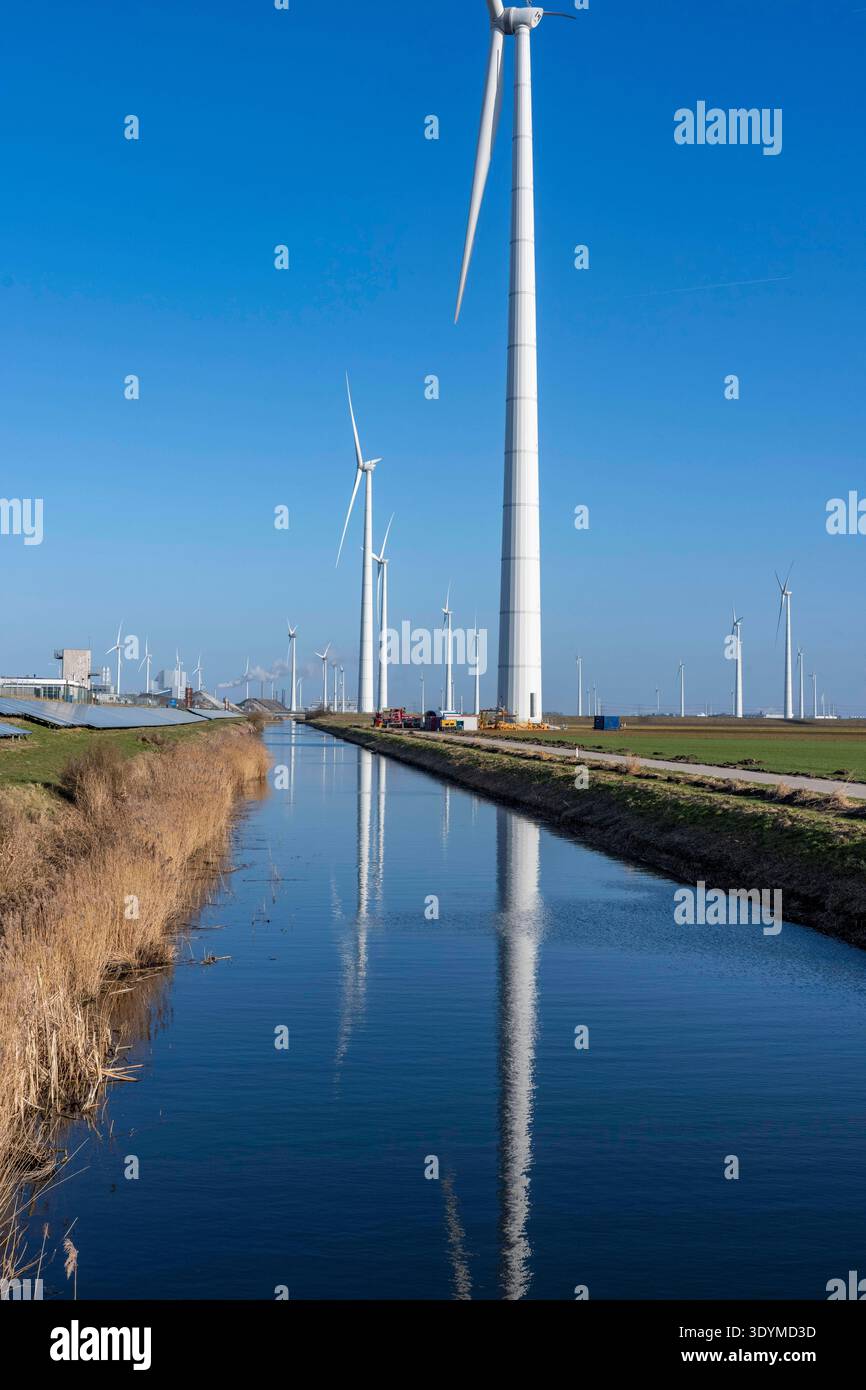 Windpark am Slaperdijk Deich beim Eemshaven, auf dem Deichs sind, als Testprojekt, auf gut 5 KM 17000 Solarmodule installiert, Die Niederlande haben über 22000 KM Deichlinie, hier wird erprobt, ob eine solche Montage erfolgreich ist und ausgebaut werden kann, Niederlande erprobt, Niederlande erprobt, installato un impianto solare 22.000 di 17.000 km sulla linea di vento su 10 km. qui si sta verificando se tale installazione ha successo e può essere ampliata, Groninga, Paesi Bassi, Solar d Foto Stock