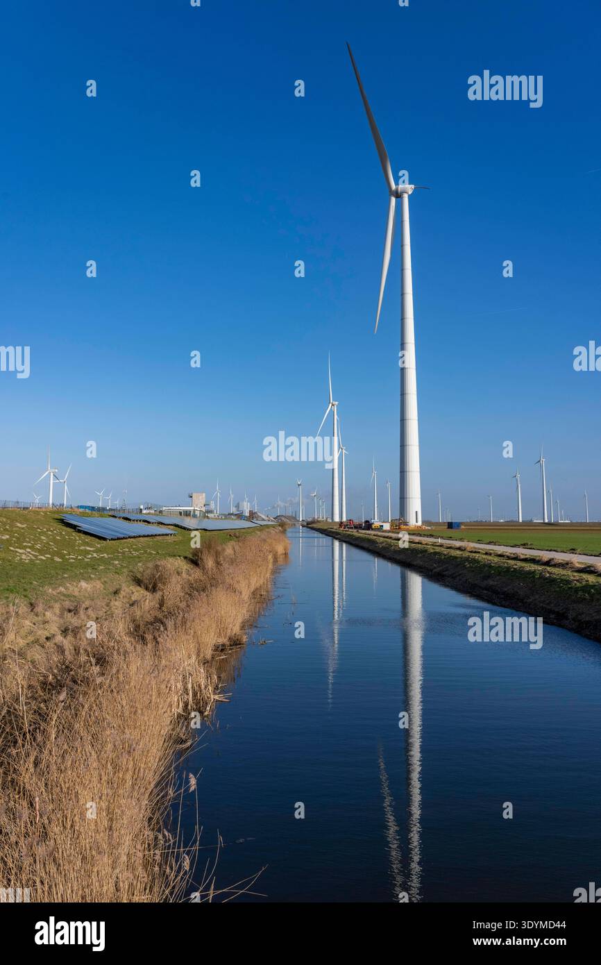 Windpark am Slaperdijk Deich beim Eemshaven, auf dem Deichs sind, als Testprojekt, auf gut 5 KM 17000 Solarmodule installiert, Die Niederlande haben über 22000 KM Deichlinie, hier wird erprobt, ob eine solche Montage erfolgreich ist und ausgebaut werden kann, Niederlande erprobt, Niederlande erprobt, installato un impianto solare 22.000 di 17.000 km sulla linea di vento su 10 km. qui si sta verificando se tale installazione ha successo e può essere ampliata, Groninga, Paesi Bassi, Solar d Foto Stock