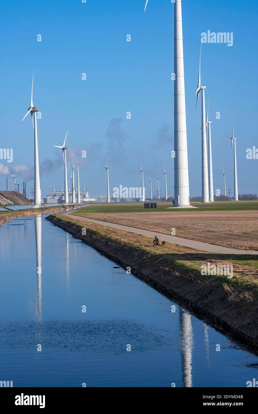 Windpark am Slaperdijk Deich beim Eemshaven, auf dem Deichs sind, als Testprojekt, auf gut 5 KM 17000 Solarmodule installiert, Die Niederlande haben über 22000 KM Deichlinie, hier wird erprobt, ob eine solche Montage erfolgreich ist und ausgebaut werden kann, Niederlande erprobt, Niederlande erprobt, installato un impianto solare 22.000 di 17.000 km sulla linea di vento su 10 km. qui si sta verificando se tale installazione ha successo e può essere ampliata, Groninga, Paesi Bassi, Solar d Foto Stock