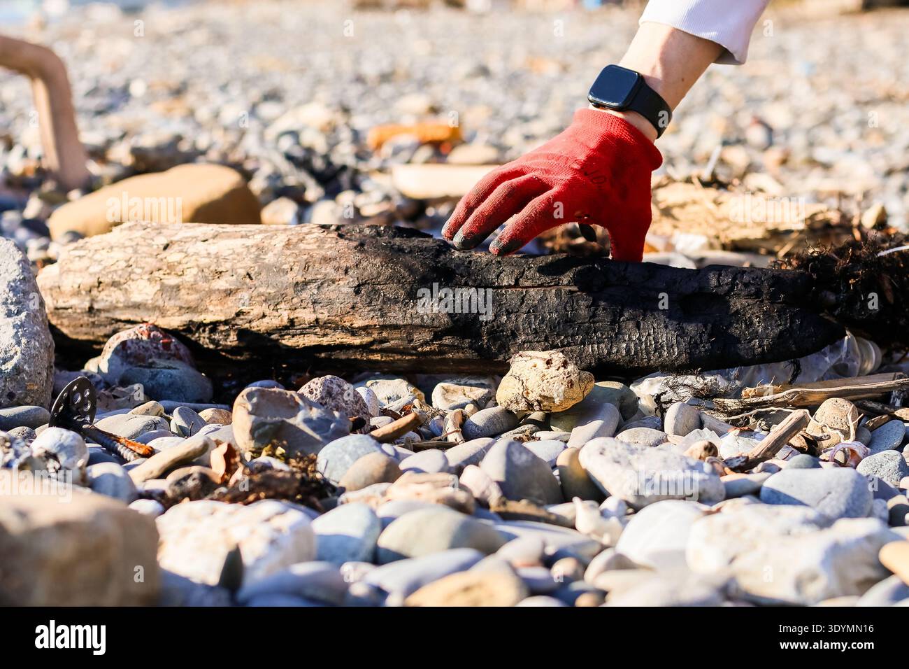 Mano con i guanti rossi che raggiunge un pezzo di legno bruciato nero tra i ciottoli su una spiaggia soleggiata. Foto Stock