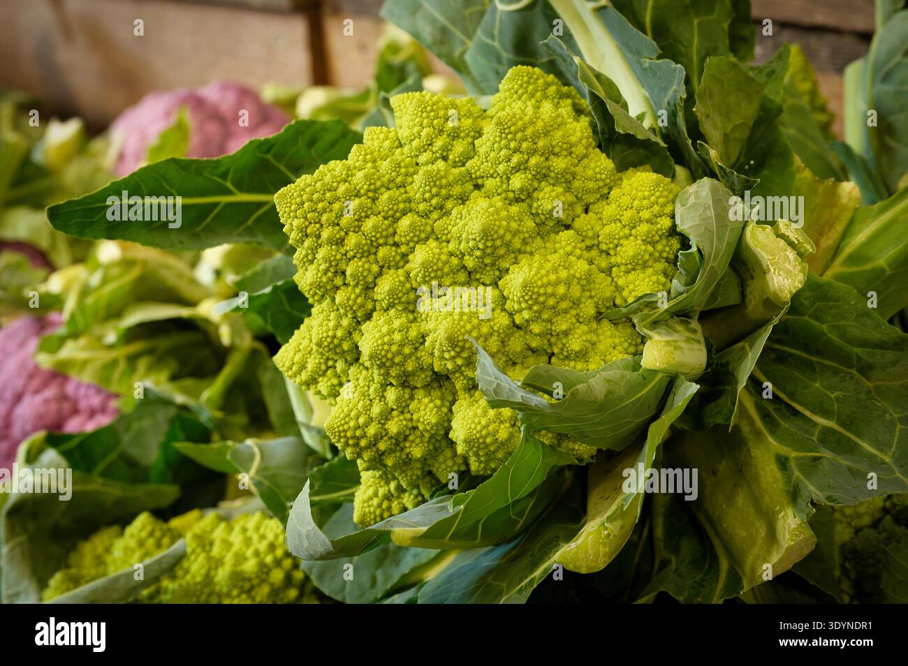 Foto dettagliata di un vivace cavolfiore Romanesco verde che mostra la sua struttura frattale a spirale unica in un mercato di verdure fresche Foto Stock