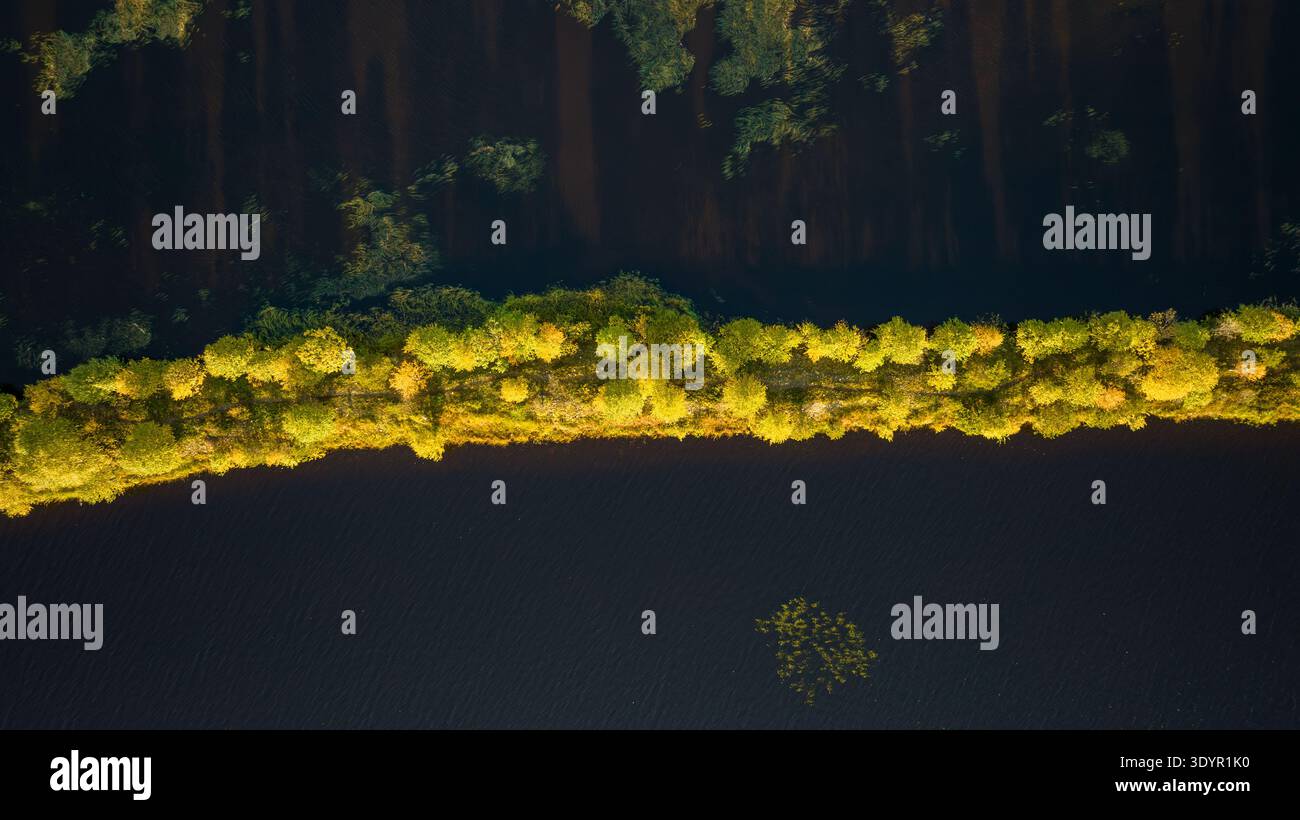 Vista aerea di una vivace striscia di colori autunnali che divide le acque scure, come un filo dorato che si intreccia attraverso il paesaggio, Sodankylä, Lapponia, Finl Foto Stock