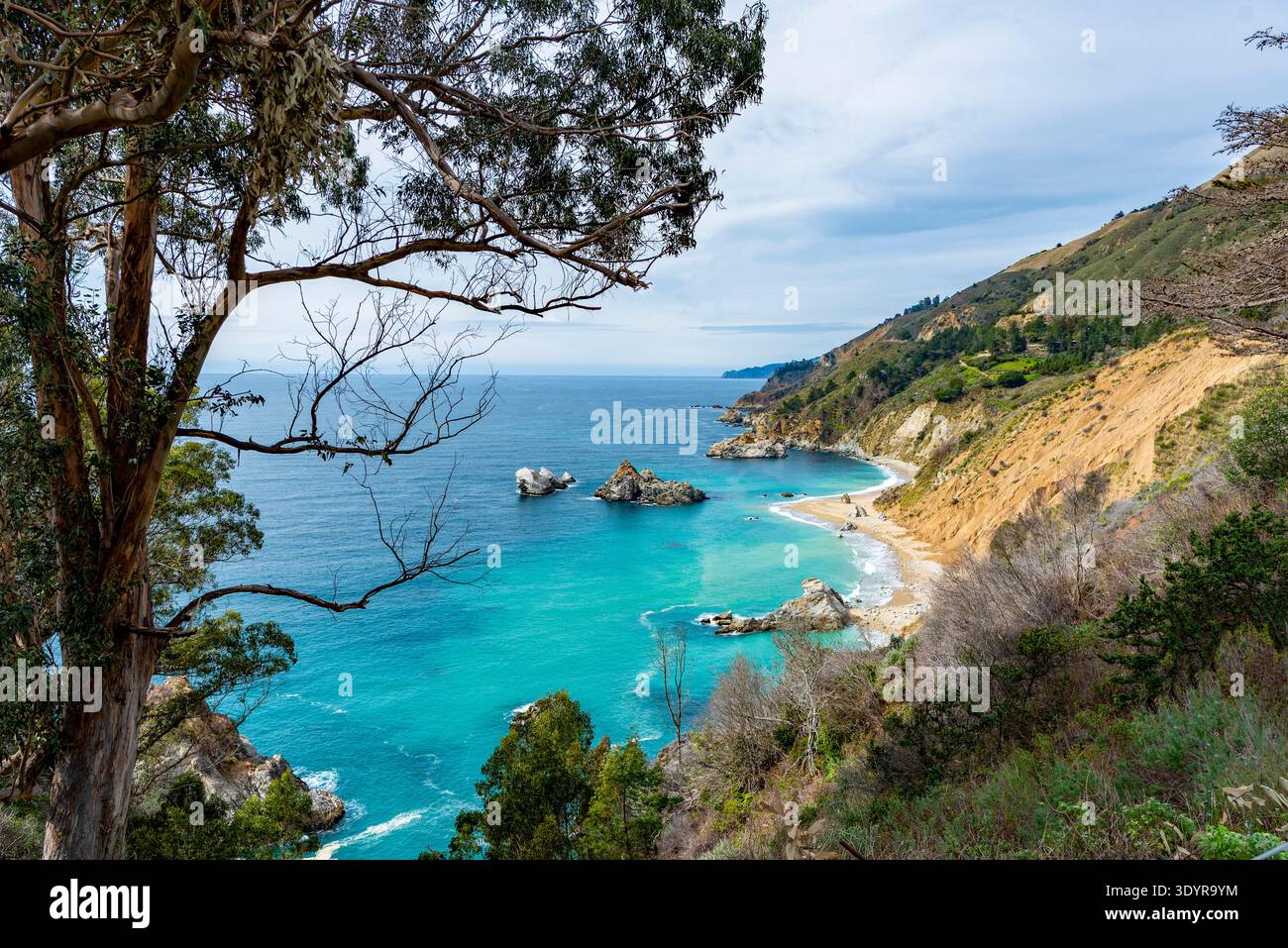 Spiaggia sabbiosa al Julia Pfeiffer Burns State Park di Big Sur, California Foto Stock