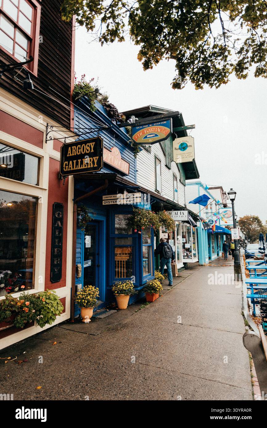 Le colorate vetrine fiancheggiano una strada piovosa nel centro di Bar Harbor, Foto Stock