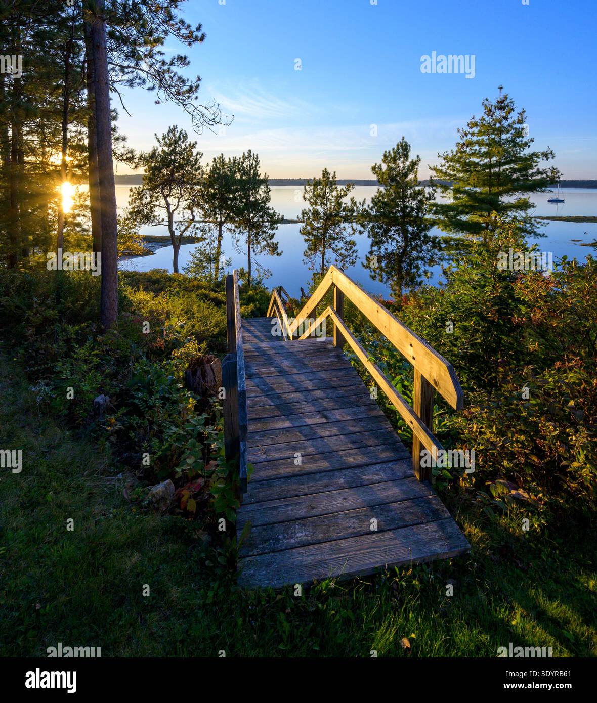 Tramonto dorato sulla scalinata in legno sul lago Foto Stock