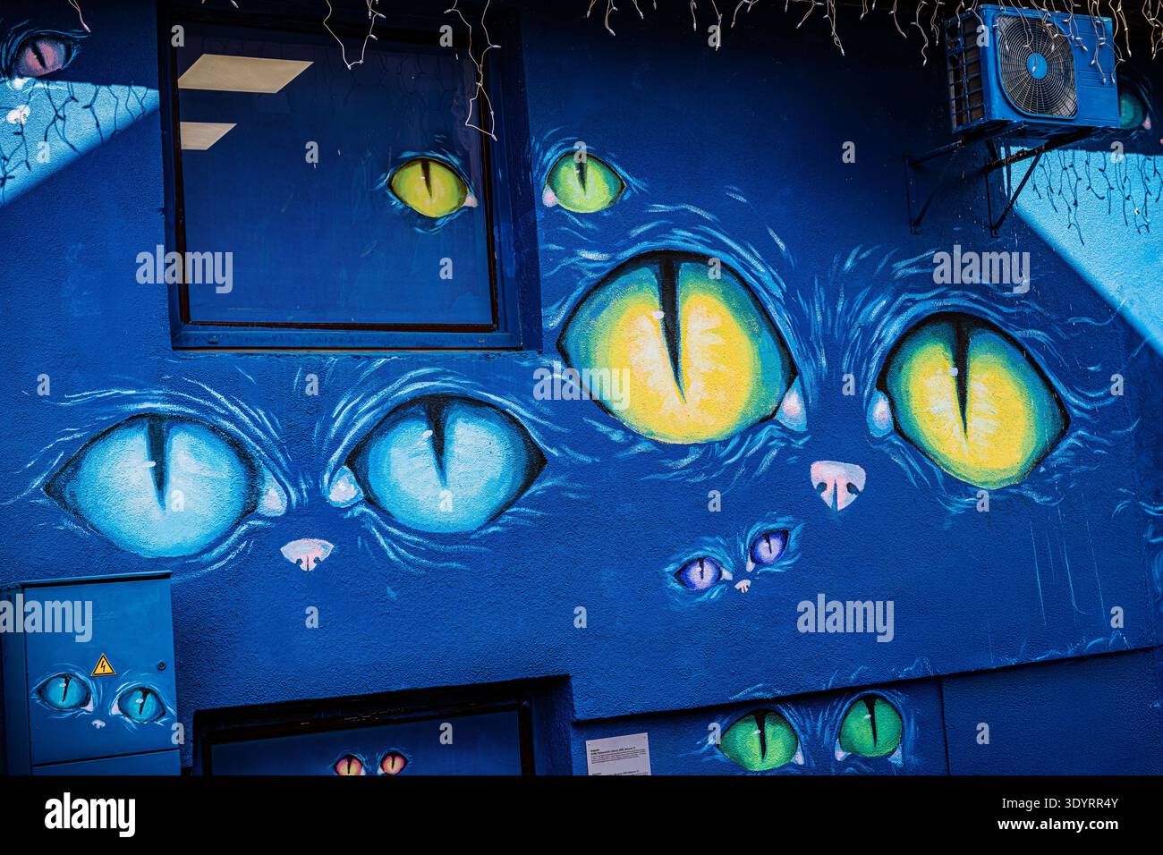 Murale di Street art con occhi di gatto blu e gialli, Marijampolė, Lituania Foto Stock