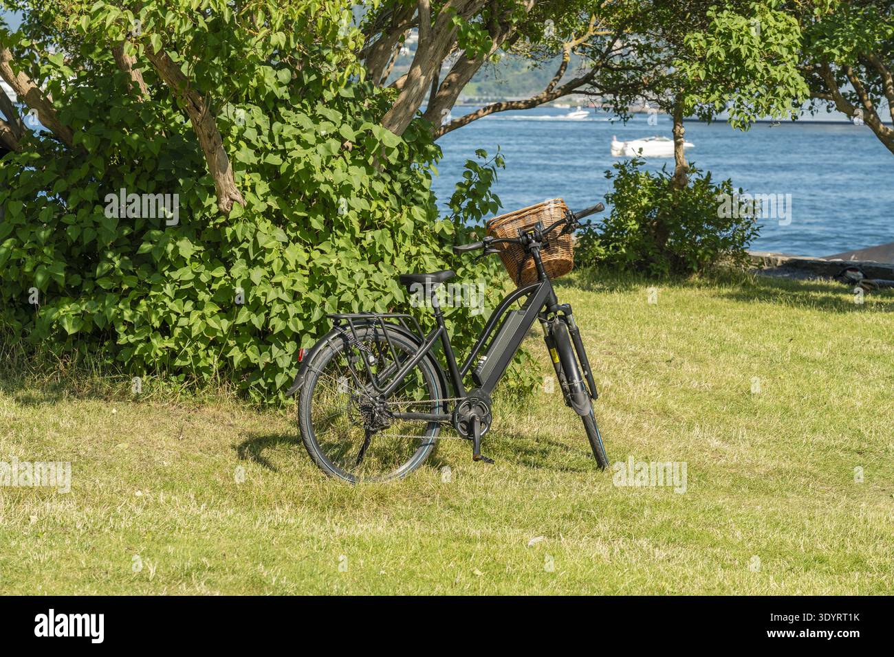 La vista di una bicicletta si trova su una vibrante erba verde, incorniciata da alberi lussureggianti contro il blu scintillante dell'acqua in lontananza, Oslo, Norvegia. Foto Stock