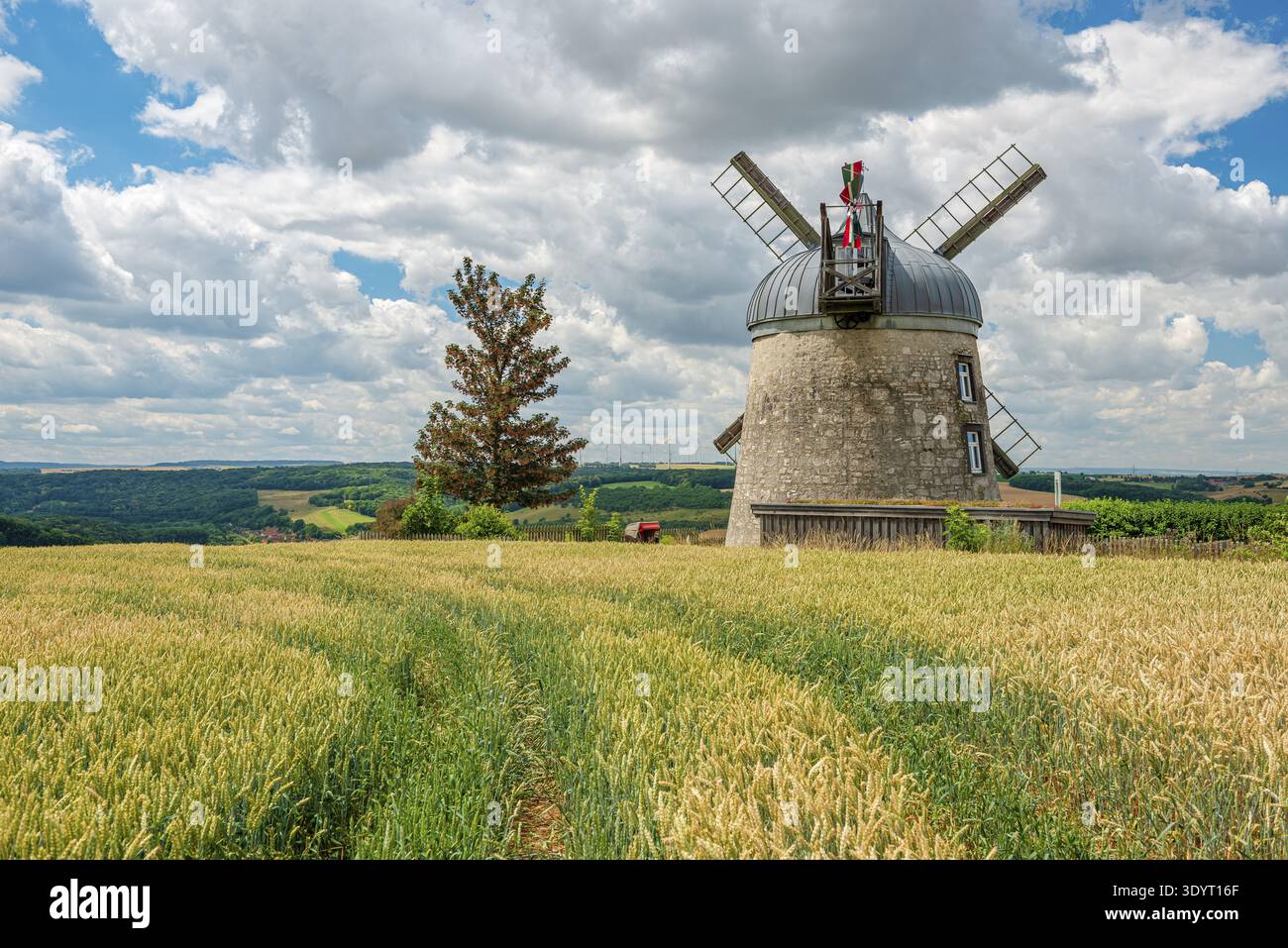 Paesaggio campestre con mulino a vento a torre, vista sulla valle del Saale in estate, un campo di grano di fronte, Tultewitz vicino a Naumburg, Sassonia-Anhalt, Germania Foto Stock