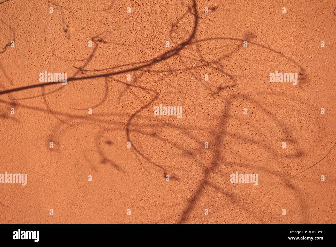 Ombre astratte di tendini e rami di vite su una calda parete arancione che creano motivi organici e uno sfondo naturale Foto Stock