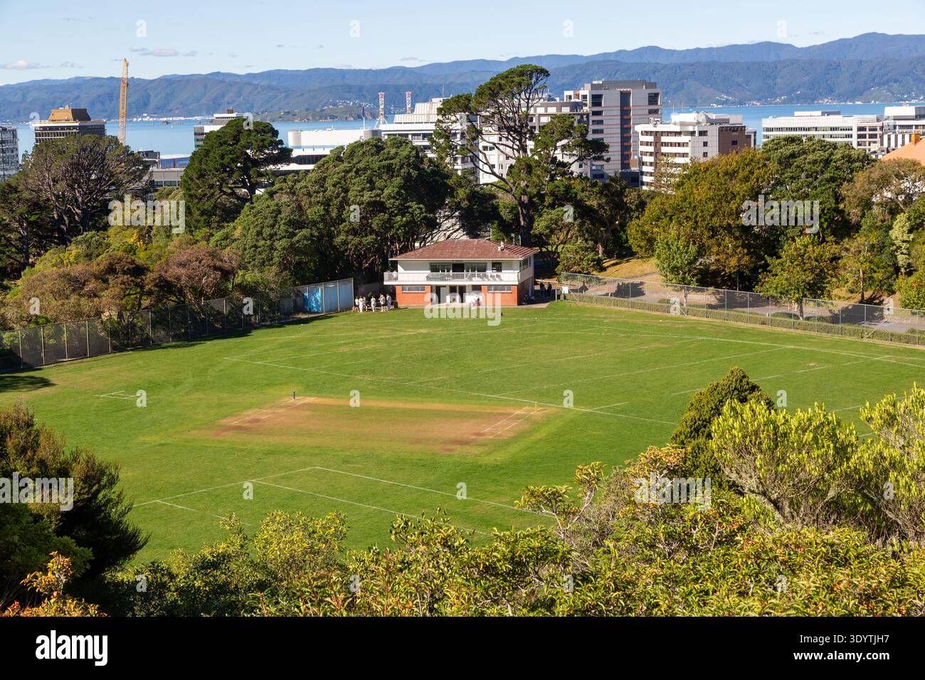 Kelburn Park a Wellington, Isola del Nord, nuova Zelanda Foto Stock