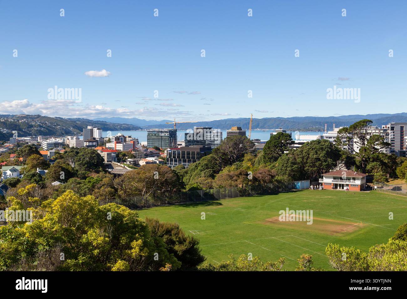 Kelburn Park a Wellington, Isola del Nord, nuova Zelanda Foto Stock
