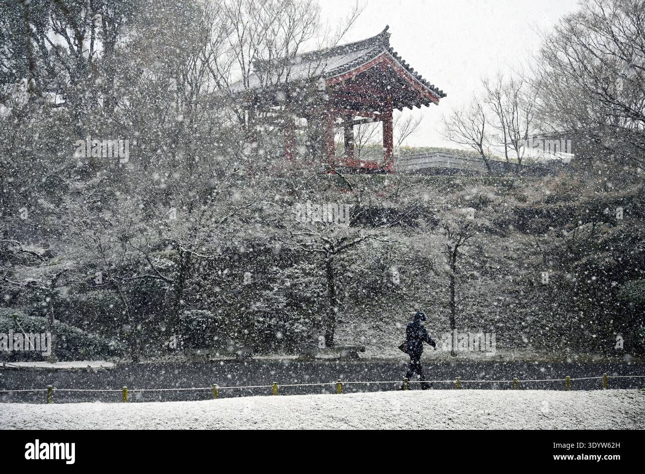 Tempio Byodo-in in inverno, Kyoto, tempio buddista, un sito patrimonio dell'umanità dell'UNESCO, Giappone. Foto Stock