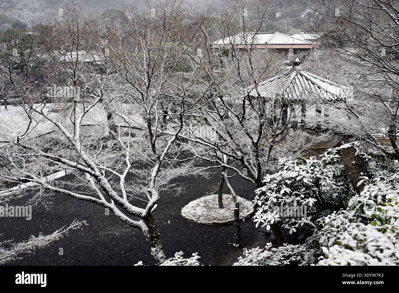 Tempio Byodo-in in inverno, Kyoto, tempio buddista, un sito patrimonio dell'umanità dell'UNESCO, Giappone. Foto Stock