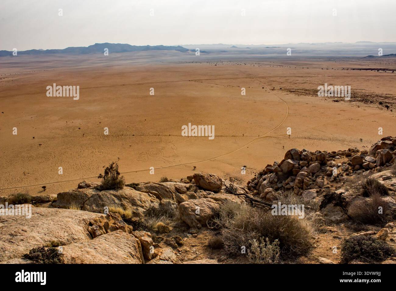 Al limite, si affaccia su vaste pianure desertiche senza fine. Fotografato al punto panoramico dello Sperrgebiet Rand Park Foto Stock