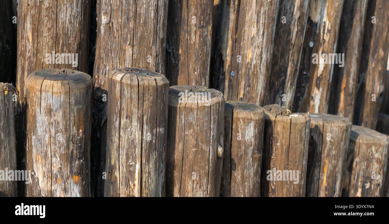 Vista ravvicinata dei pali in legno invecchiato impilati verticalmente, rivelando la consistenza ruvida del legno, le crepe e gli agenti atmosferici naturali nei materiali da costruzione rustici Foto Stock