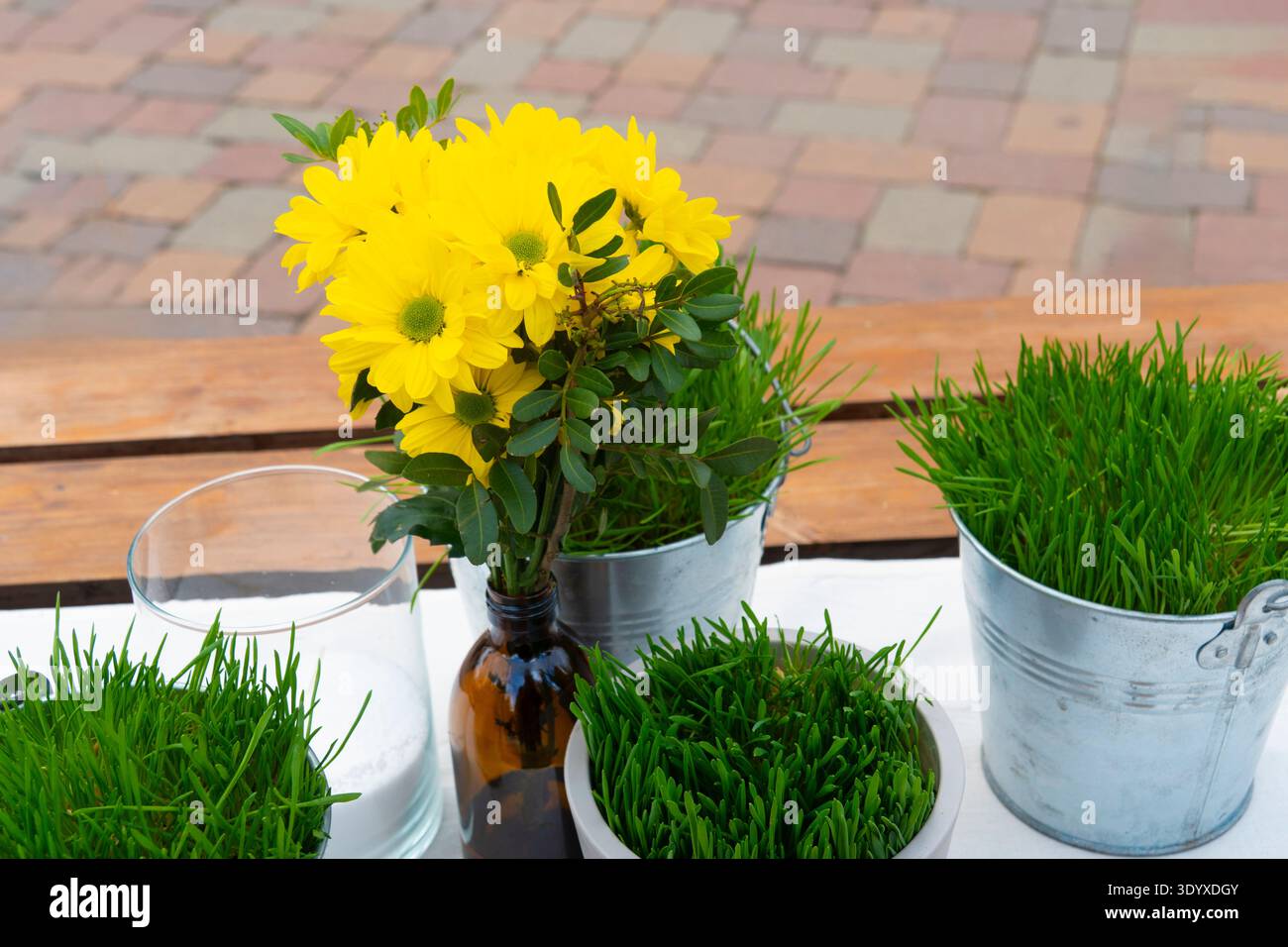 Bouquet di crisantemi gialli in bottiglia di vetro e erba verde fresca decorativa in secchi di metallo su tavoli di legno all'aperto Foto Stock