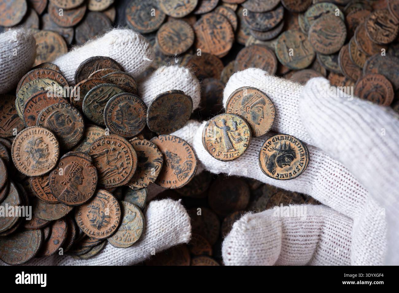 Una fotografia ravvicinata mostra le mani che indossano guanti di cotone bianchi tenendo con cura ed esaminando una grande collezione di antiche monete romane in bronzo. Il co Foto Stock