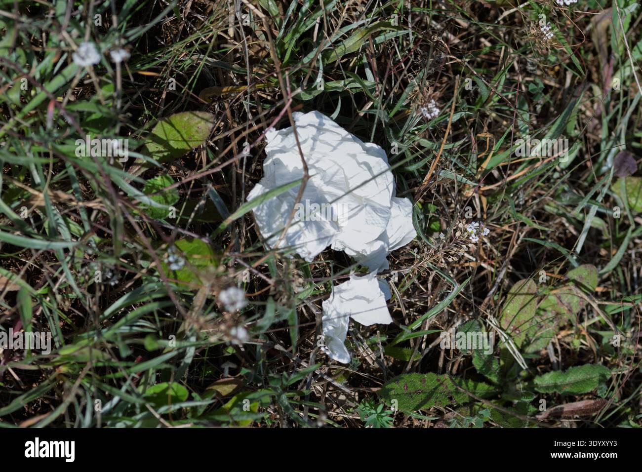 Carta bianca incrociata che inquinano l'erba verde in un ambiente naturale all'aperto Foto Stock