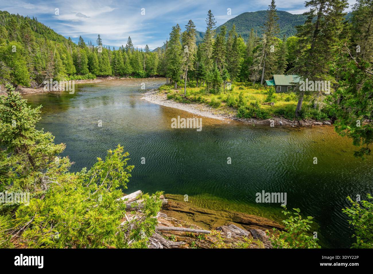 Fiume nella natura selvaggia canadese; provincia del Quebec, Canada Foto Stock