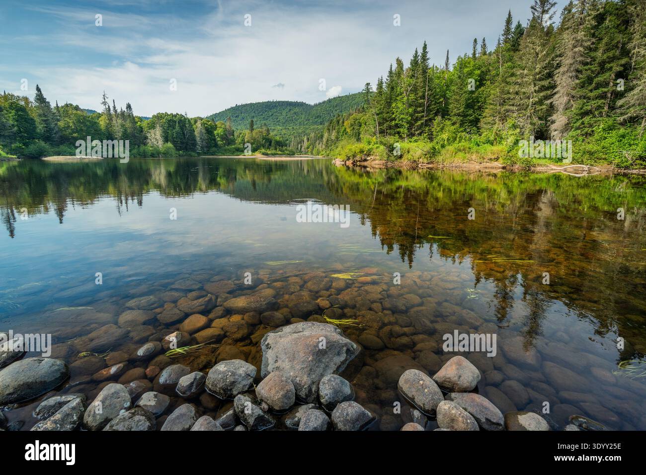 Riva del fiume nella natura selvaggia canadese; provincia del Quebec, Canada Foto Stock
