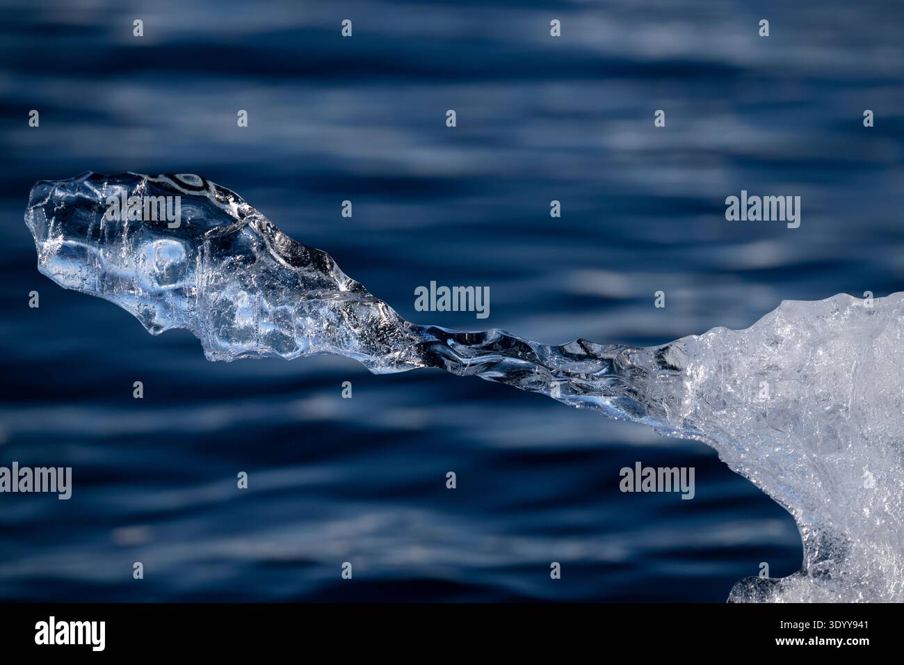 Ein Stück seltsam geformtes, fast durchsichtiges Treibeis ist vor dem Hintergrund von dunklem, blauem Wasser fotografiert, Curtiss Bay, Südgeorgien, A Foto Stock