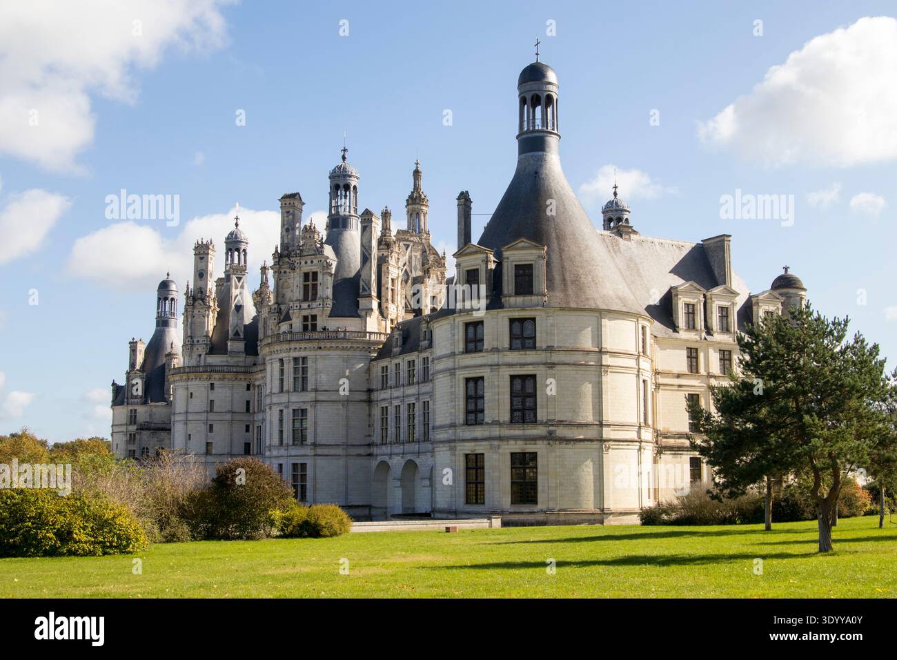 Chateau de Chambord, Valle della Loira, Centro, Francia Foto Stock