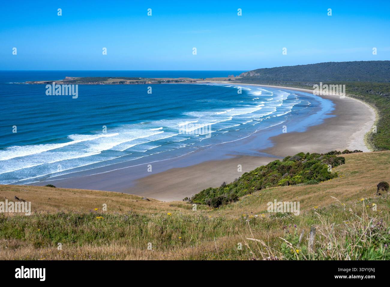 Vista della spiaggia di Tautuku dal punto panoramico Florence Hill Lookout, The Catlins, Otago, nuova Zelanda Foto Stock
