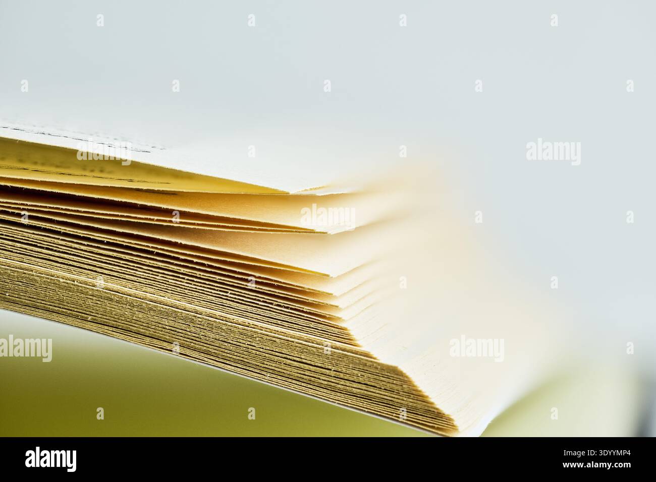 Una vista laterale di numerose pagine di carta sfogliate, sottolineando spessore e consistenza con uno sfondo sfocato Foto Stock