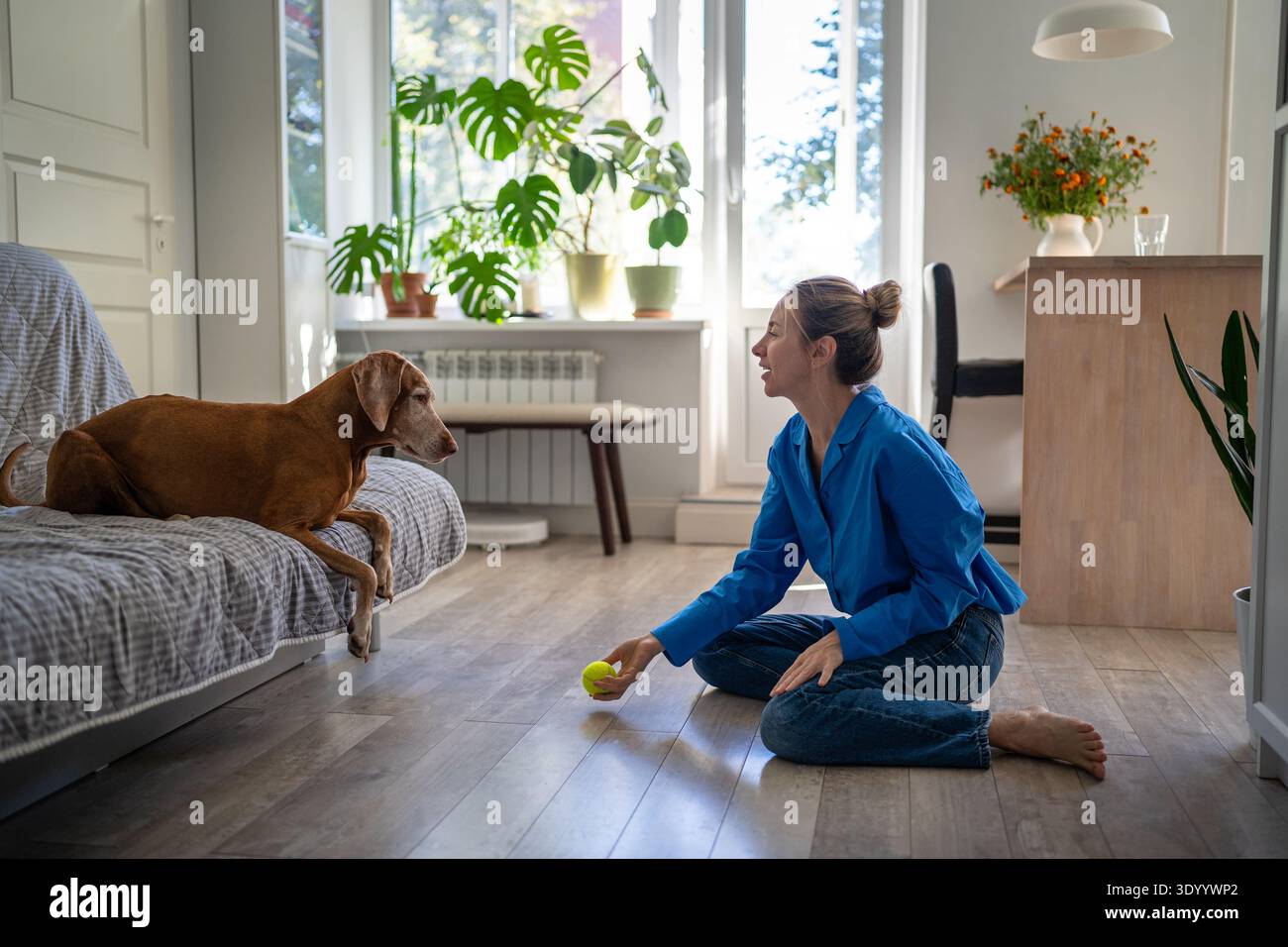 Amante del cane donna positiva matura che gioca ed educa il tuo animale domestico usando la palla da tennis, tempo libero con il cane. Foto Stock