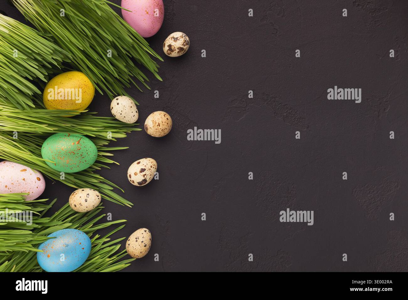 Uova di pasqua colorate in erba verde su sfondo grigio Foto Stock