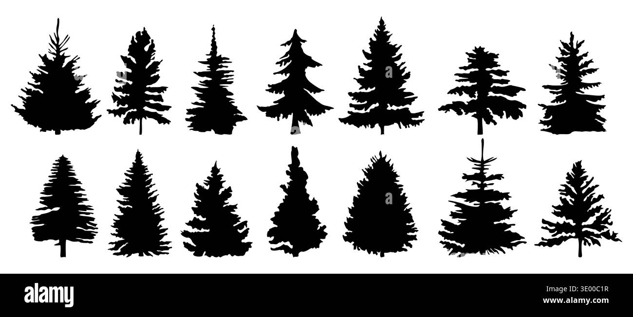 Set di dodici silhouette nere sempreverdi Illustrazione Vettoriale