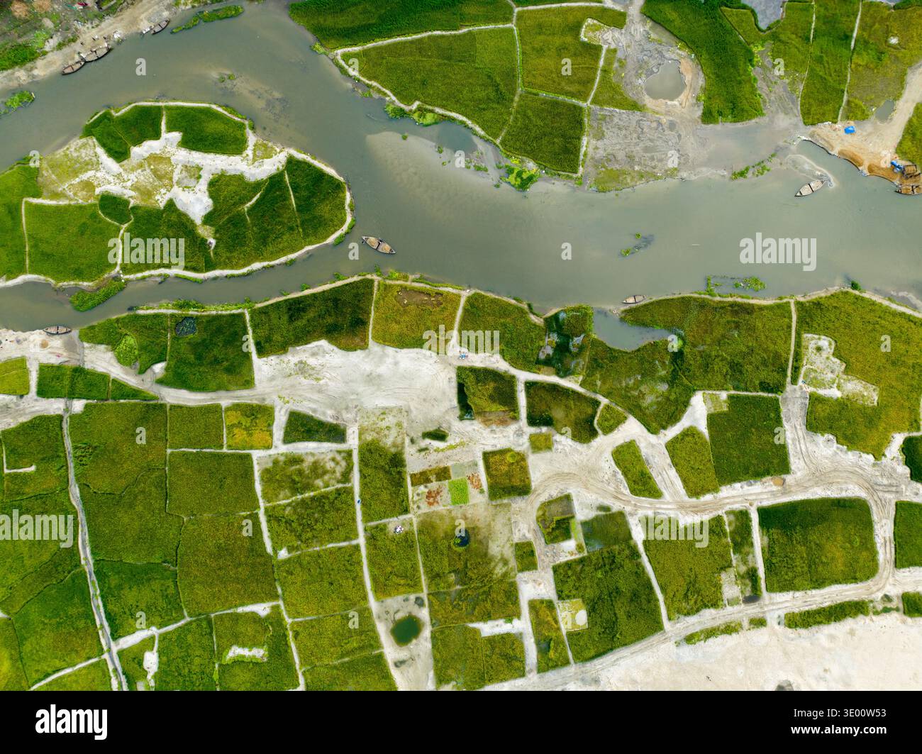 Vista aerea del mosaico di vivaci campi verdi che incontrano il tortuoso fiume, creando una sinfonia di arte della natura, Tetulia, Rangpur Division, B. Foto Stock